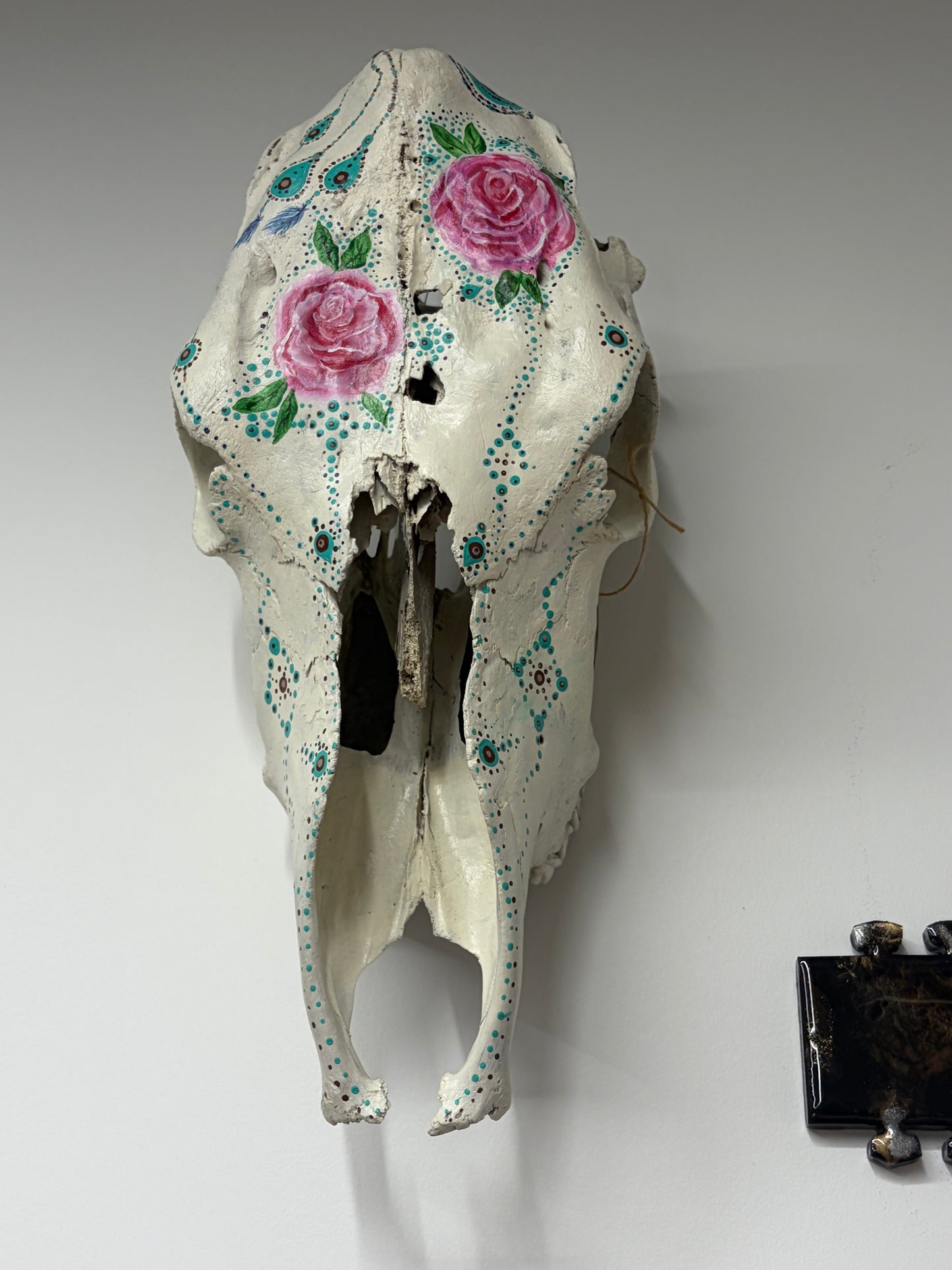 Genuine cow skull • Hand-decorated • One of a kind