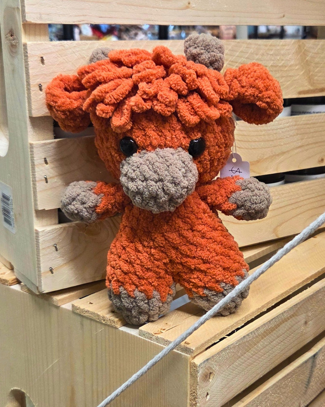 Highland cow
