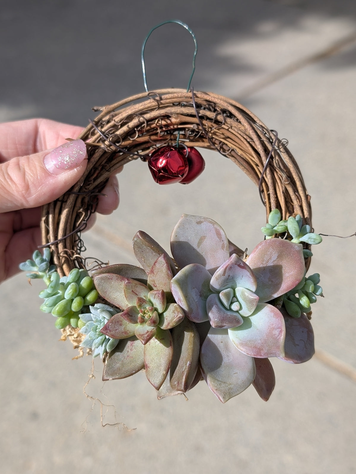 Mini succulent wreaths