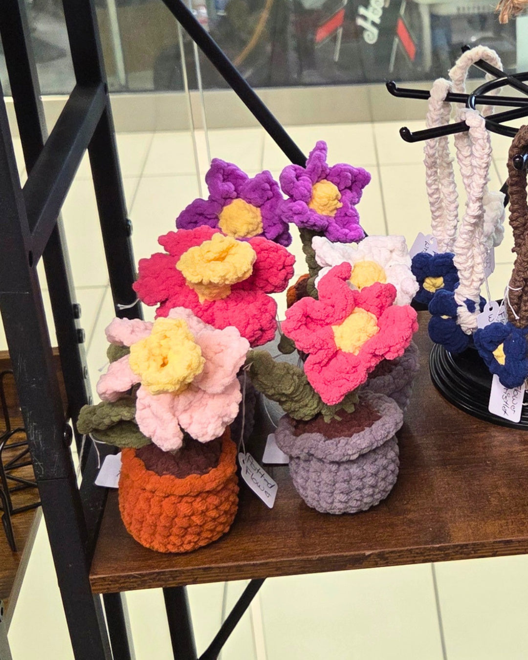 Potted Flowers