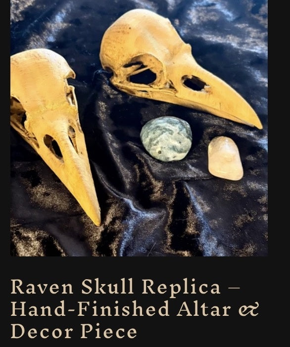Raven Skull - hand painted and finished 3d print