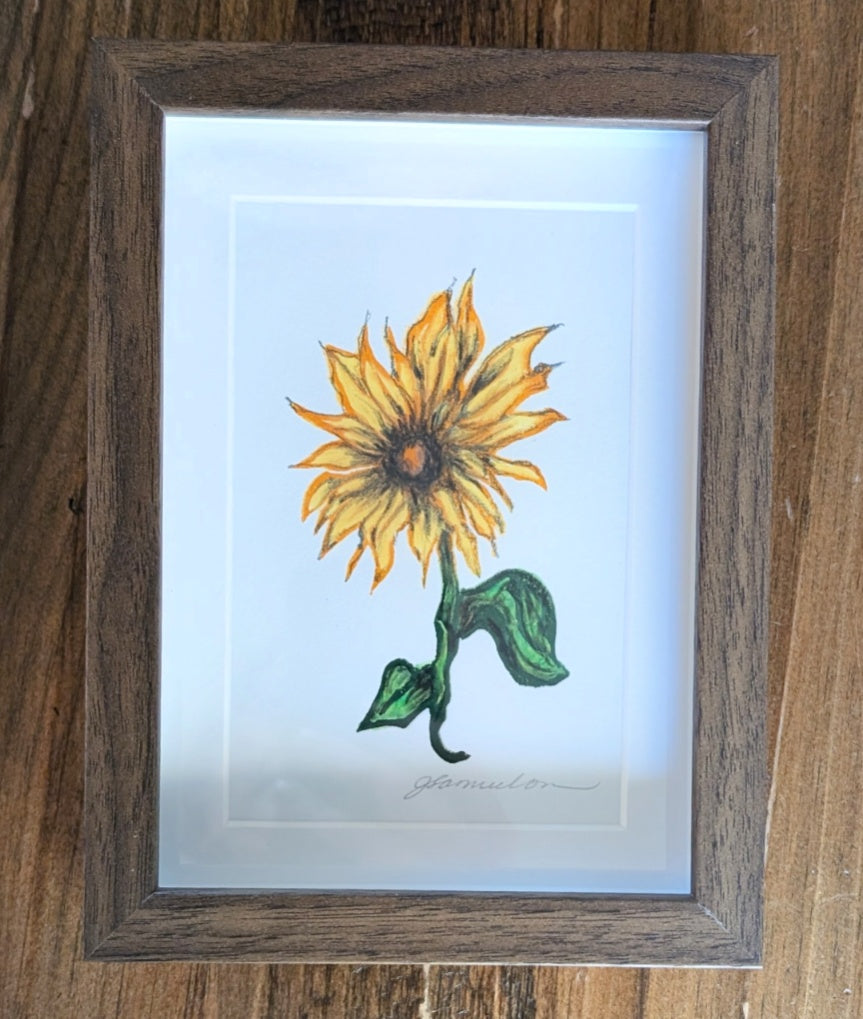 Sunflower