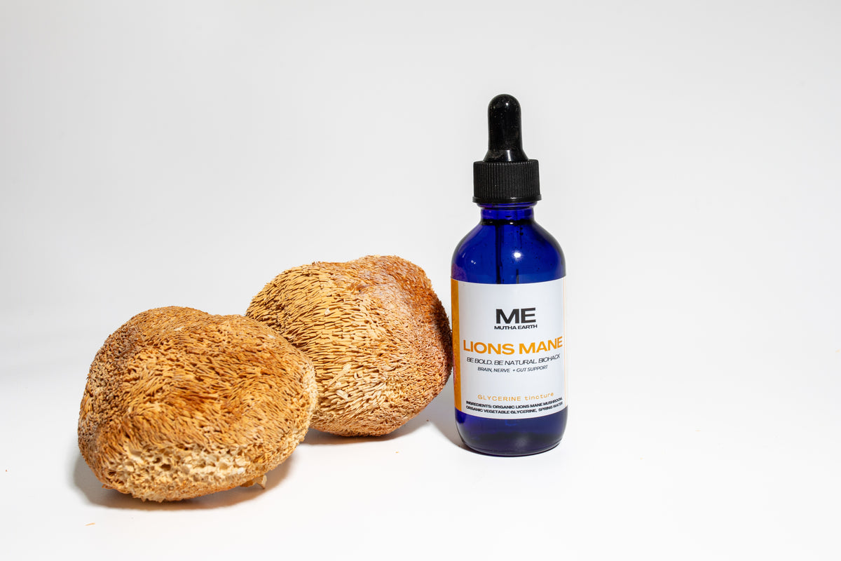 Lions Mane [Brain Boosting Glycerine Tincture]