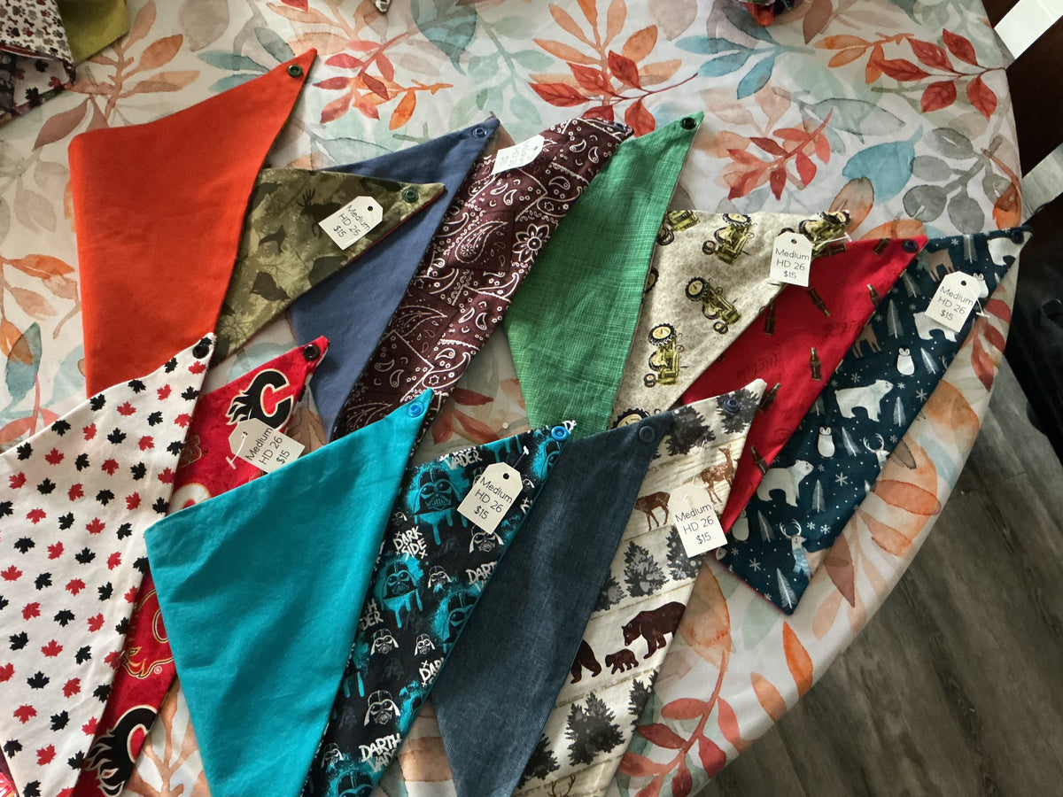 PET BANDANNA'S - MEDIUM