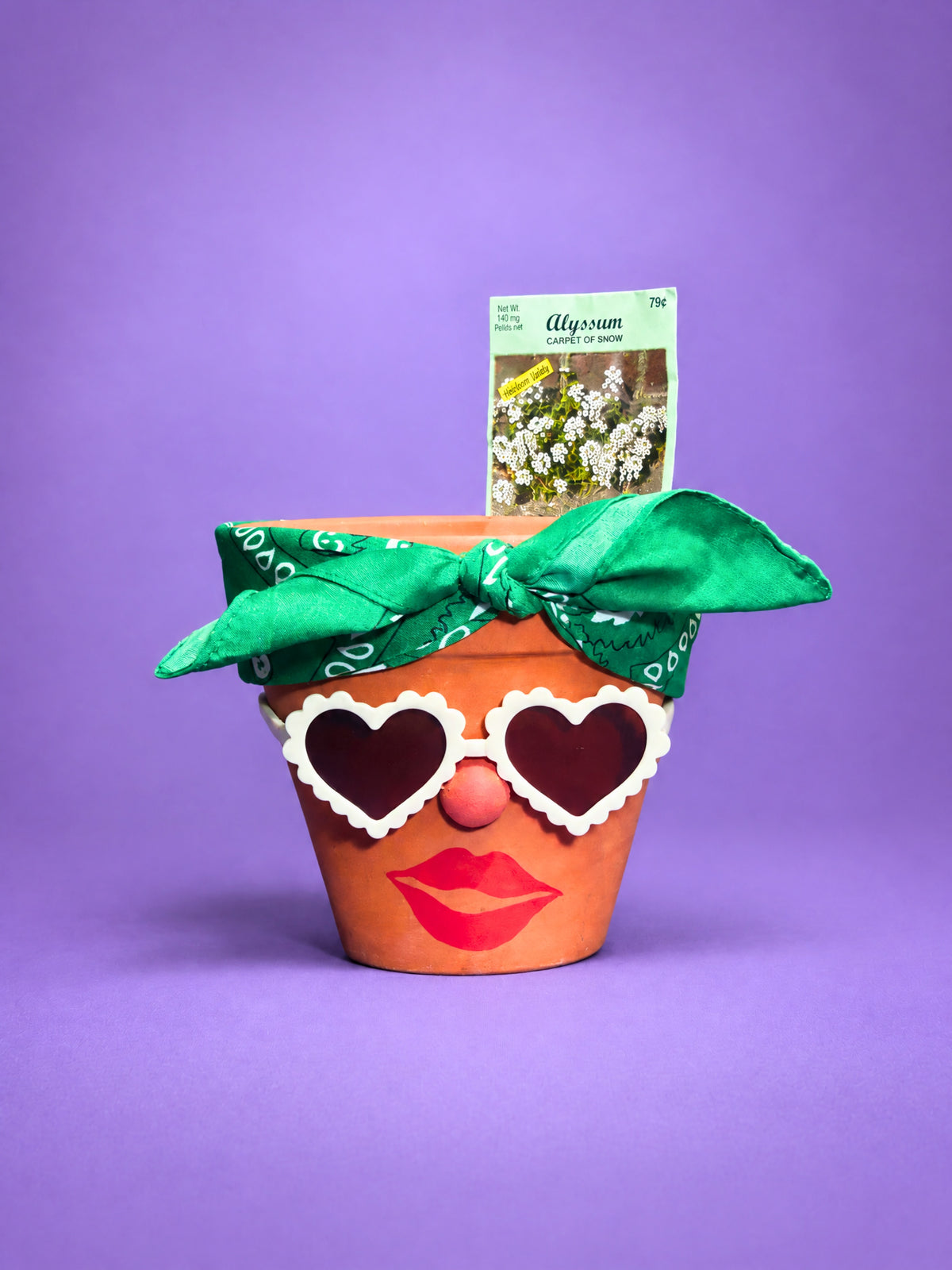 Shady Lady Planter