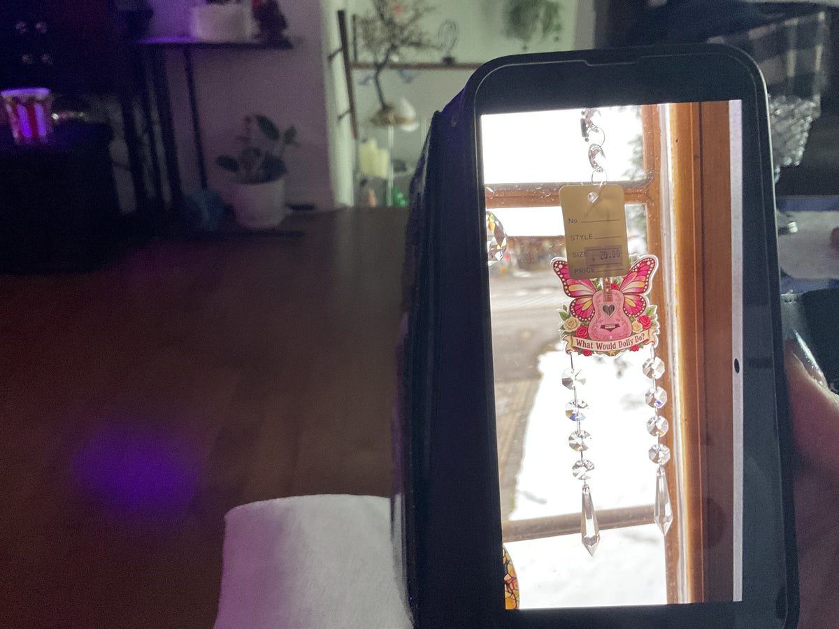 20.00 Sun catcher