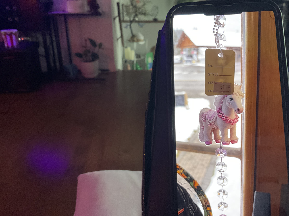 20.00 Sun catcher